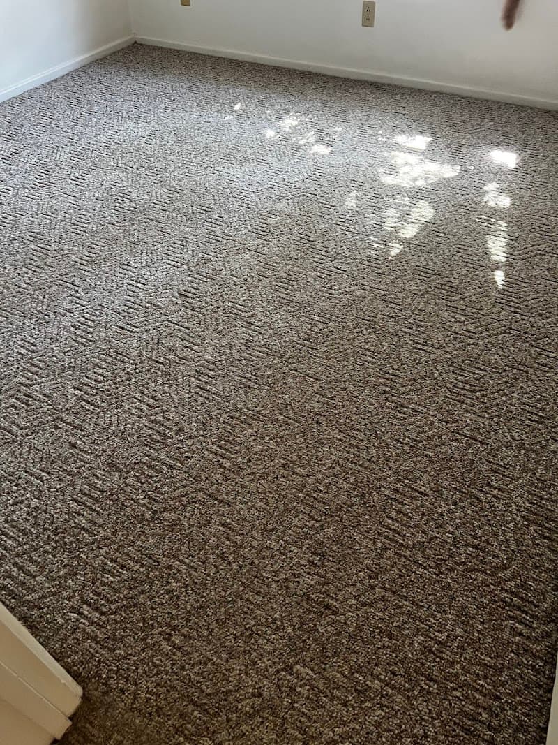 Carpet Shield - Laundromat in Lubbock