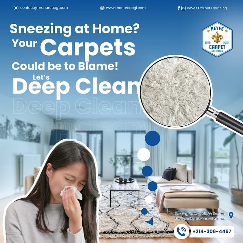 Reyes Maids, by Monarca Home Services - Laundromat in Dallas