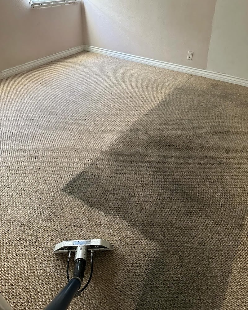 Alfa Carpet Cleaning - Laundromat in FL 32401