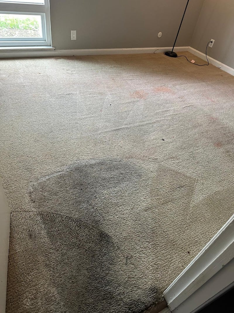 All Bay Area Carpet Cleaning in San Jose CA - Laundromat in CA 94086