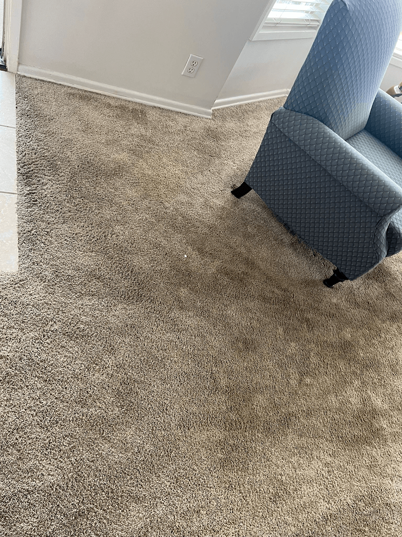 Assurance Carpet Cleaning - Laundromat in FL 33132