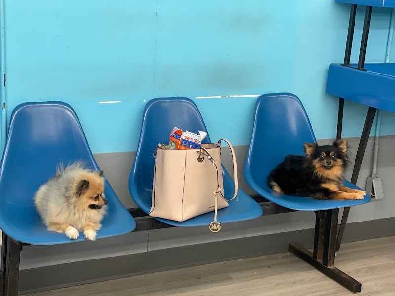 Bay Area Laundry - Laundromat in Corpus Christi