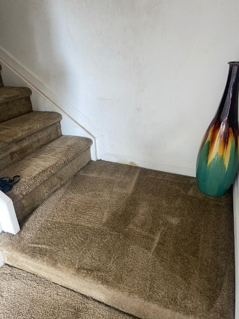 Biosteam, Carpet Cleaning West Palm Beach, FL - Laundromat in FL 33401