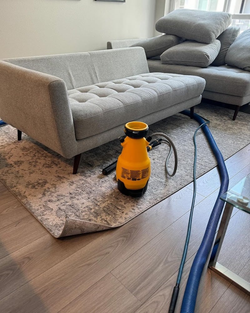 Carpet Cleaning Group Miami Beach - Laundromat in FL 33139