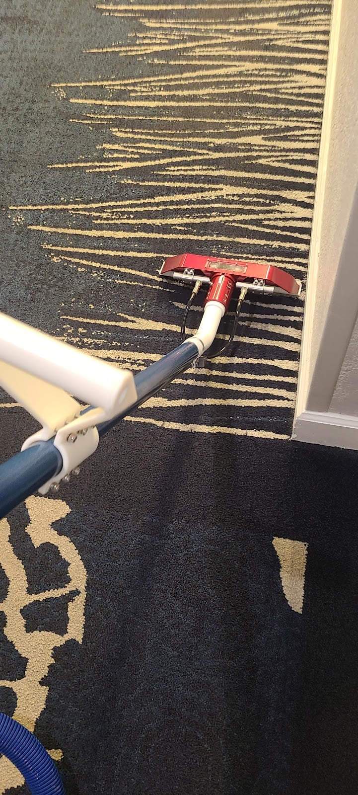 Cat 1 carpet cleaning - Laundromat in FL 33060