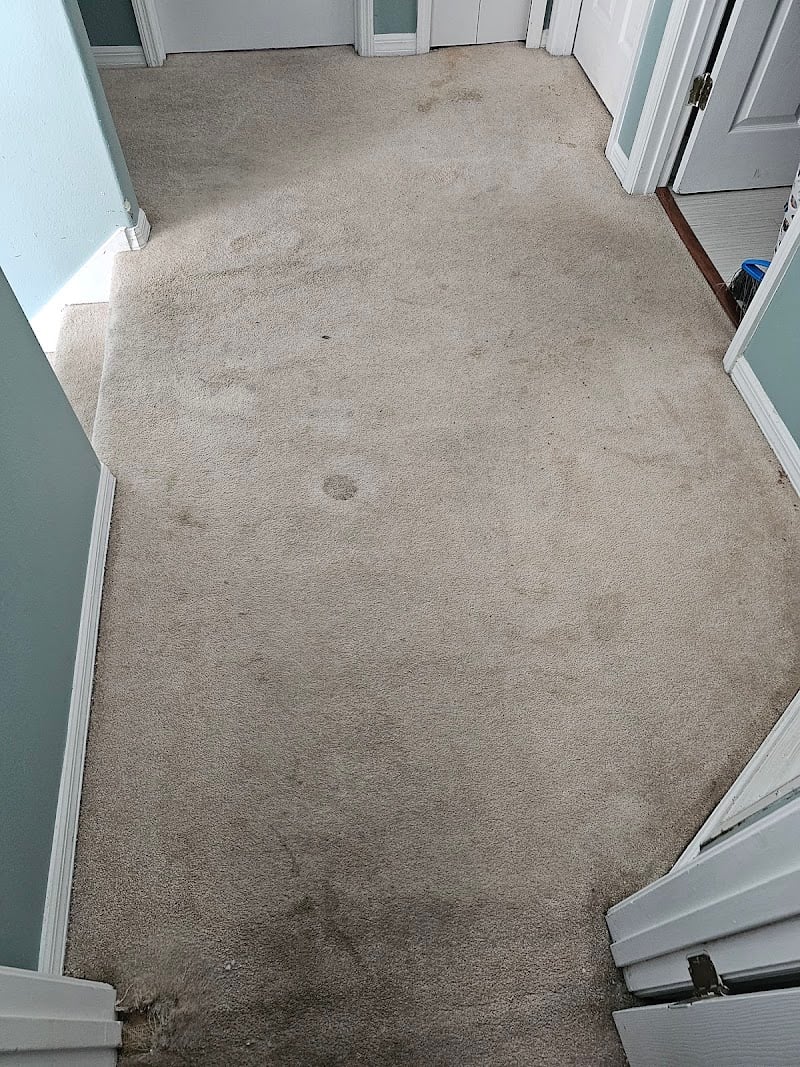 CitruSolution Carpet & Upholstery Cleaning of Tampa - Laundromat in FL 33610