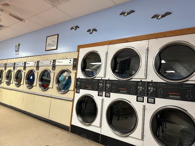 Divyang Coin Laundry - Laundromat in FL 33702
