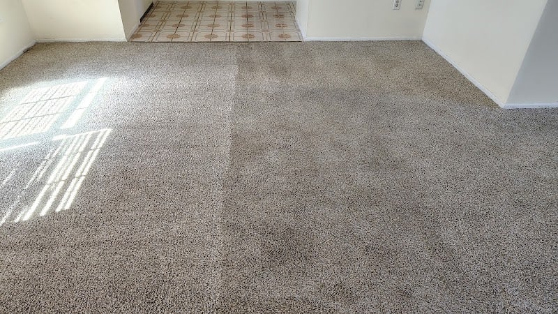 Elon Carpet Care - Non-Toxic, Eco-Friendly and Safe for your family, pets, and the earth. - Laundromat in FL 33770