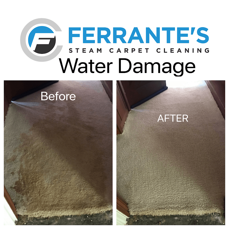 Ferrante's STEAM Carpet Cleaning - Laundromat in CA 93905