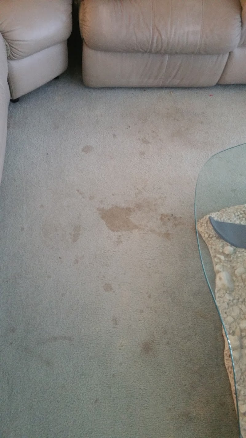 Friendly Carpet and Tile Cleaning - Laundromat in FL 33709