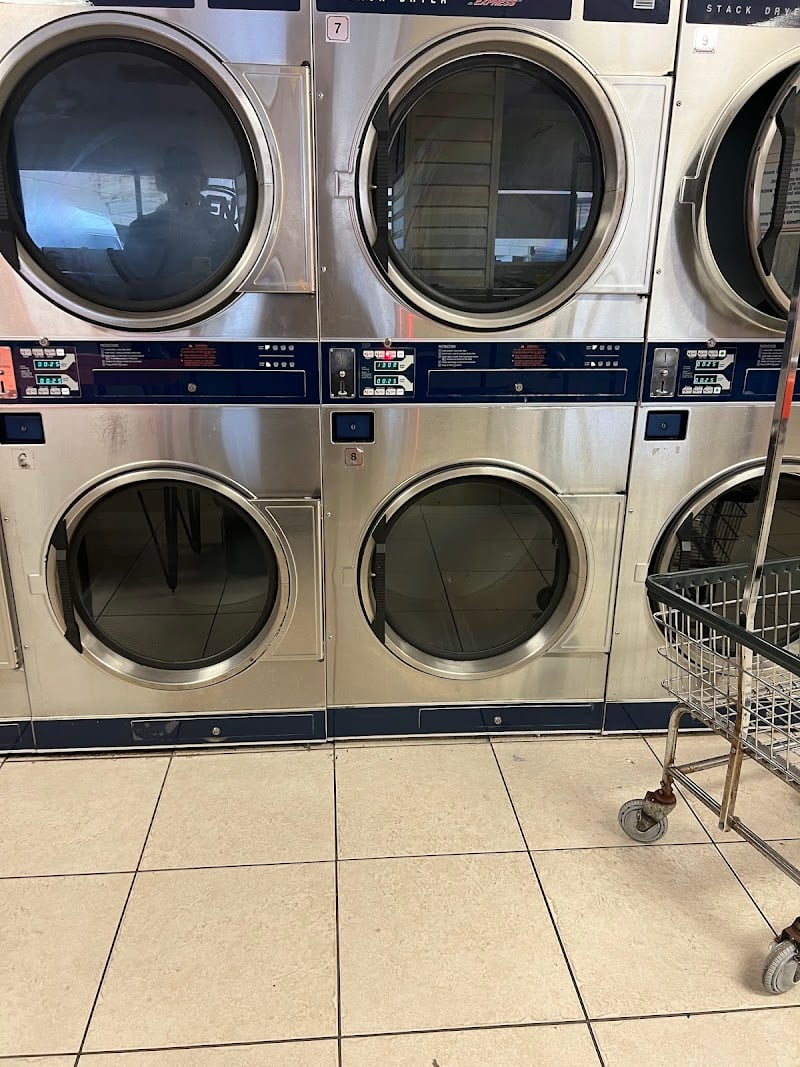 Gator Wash - Laundromat in FL 33609