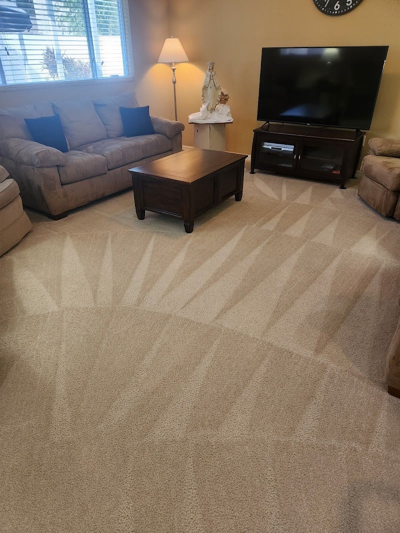 Lanior Carpet Cleaning LLC - Laundromat in FL 33510