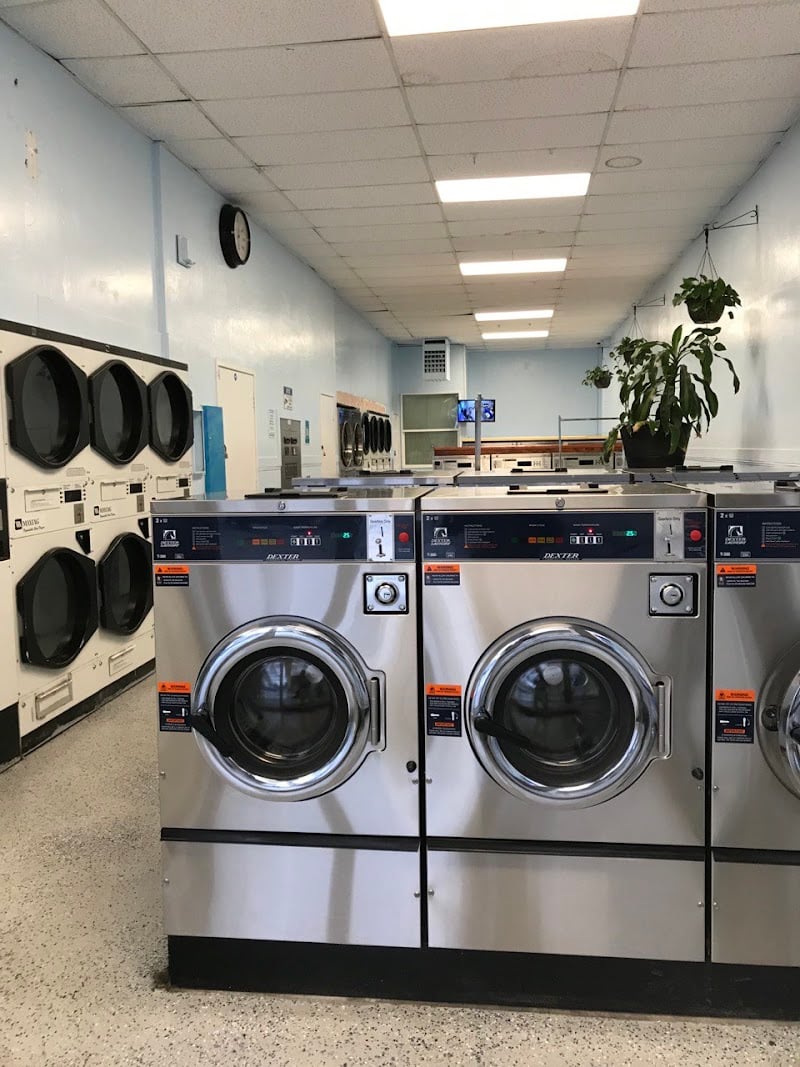 Laundromat- Coin Laundry - Laundromat in CA 94519