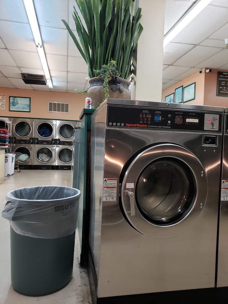 Laundry Day - Laundromat in CA 95350