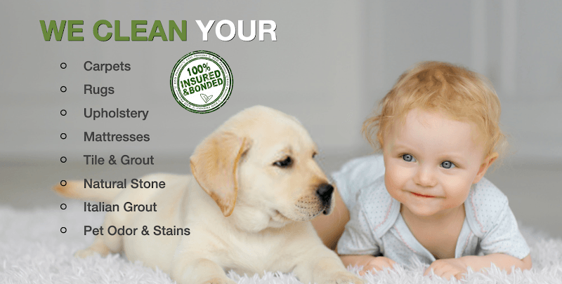 Magic Steamers of Tampa Bay - Laundromat in FL 33771