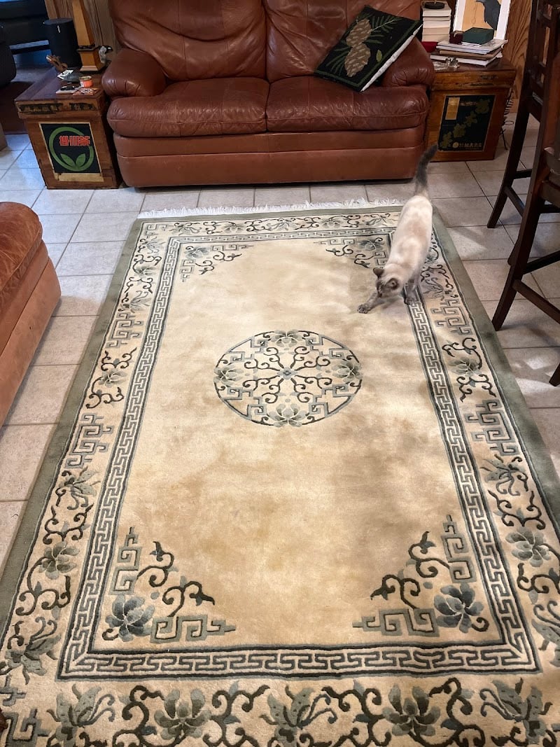 Mussallem Area Rug Specialist - Laundromat in FL 32256