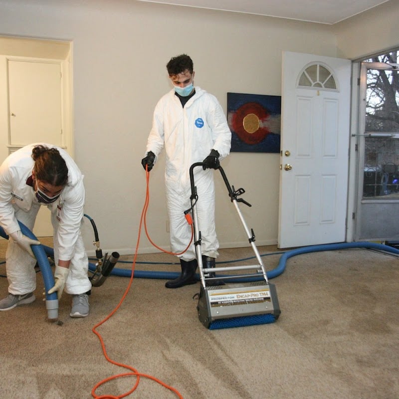 Noonan Carpet Cleaning Service - Laundromat in FL 33484