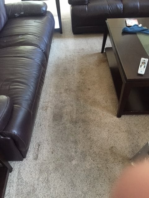 Pearland Carpet Cleaning Pros - Laundromat in Pearland