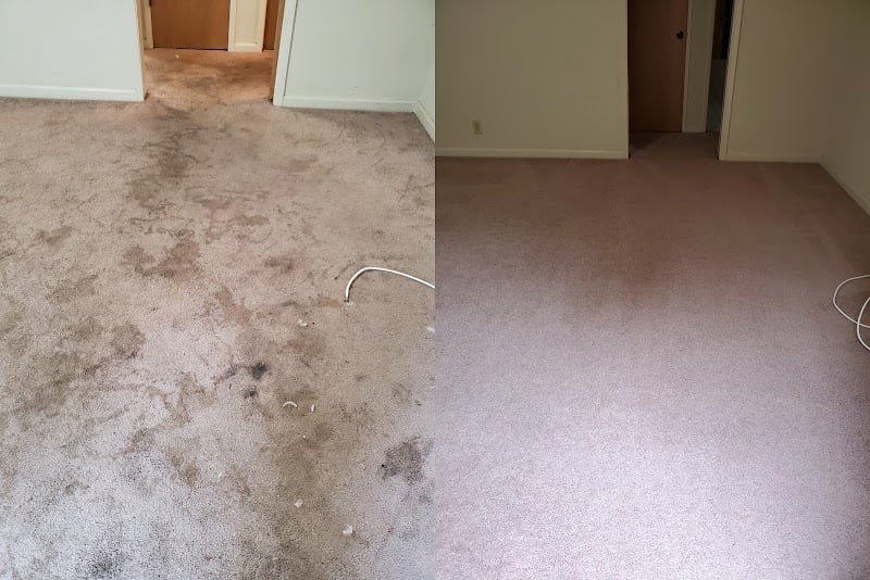 Powerhouse Carpet Cleaning - Laundromat in CA 94598