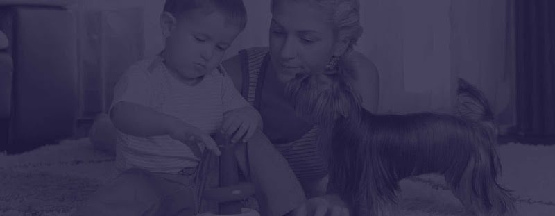 Ruiz Premium Carpet Care - Laundromat in CA 94536