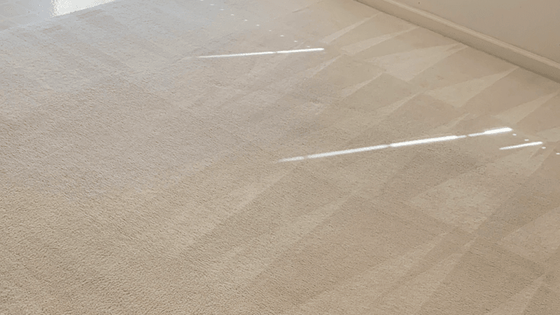 Steampro Carpet Cleaning - Laundromat in CA 94544