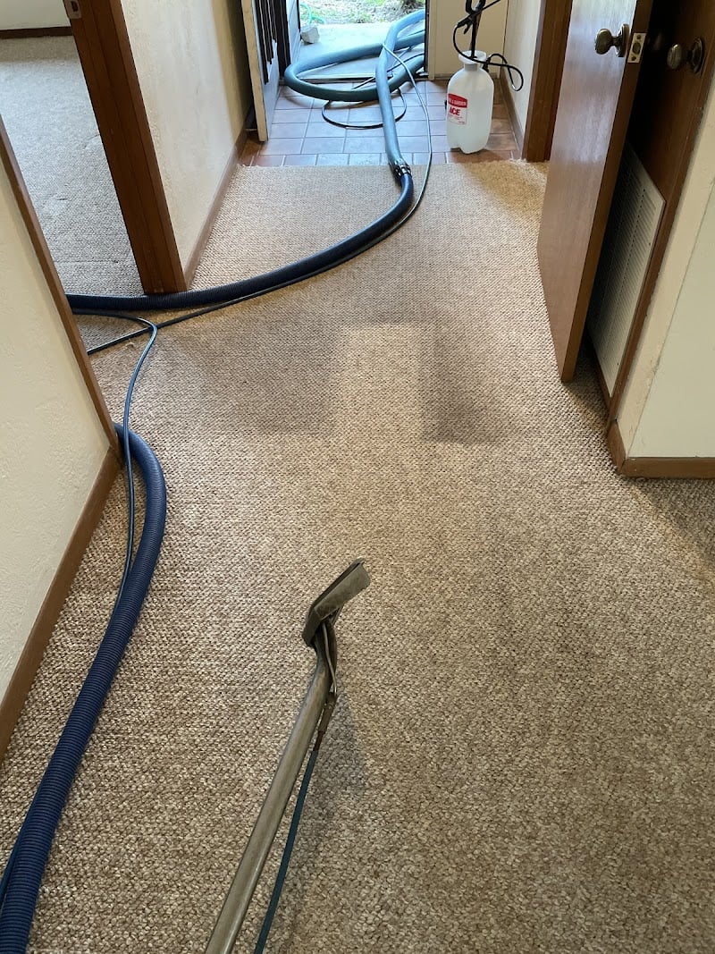 Superior Carpet Solutions - Laundromat in FL 32176