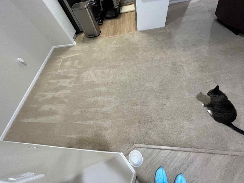 The DRY Carpet Cleaner - Laundromat in CA 91109
