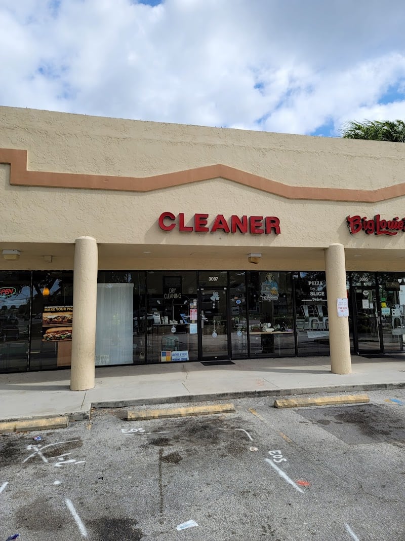 The Dry Cleaner - Laundromat in FL 33309
