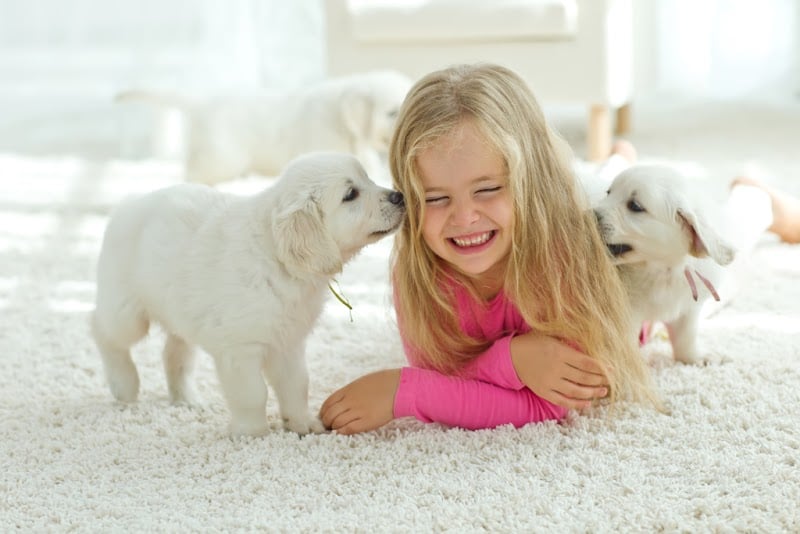 The One Minute Dry Time Green Carpet Cleaning - Laundromat in FL 34135