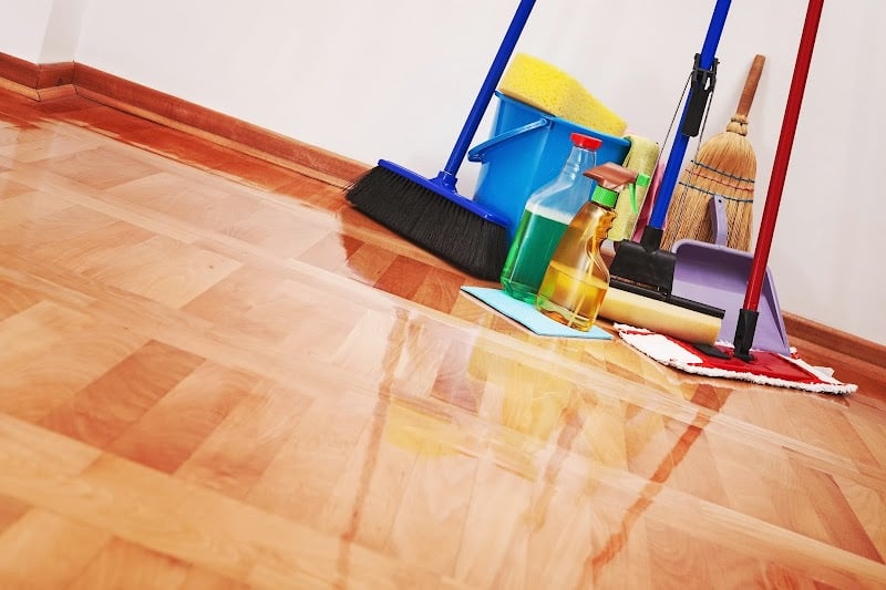 Toni Safford Cleaning Services - Laundromat in FL 33919