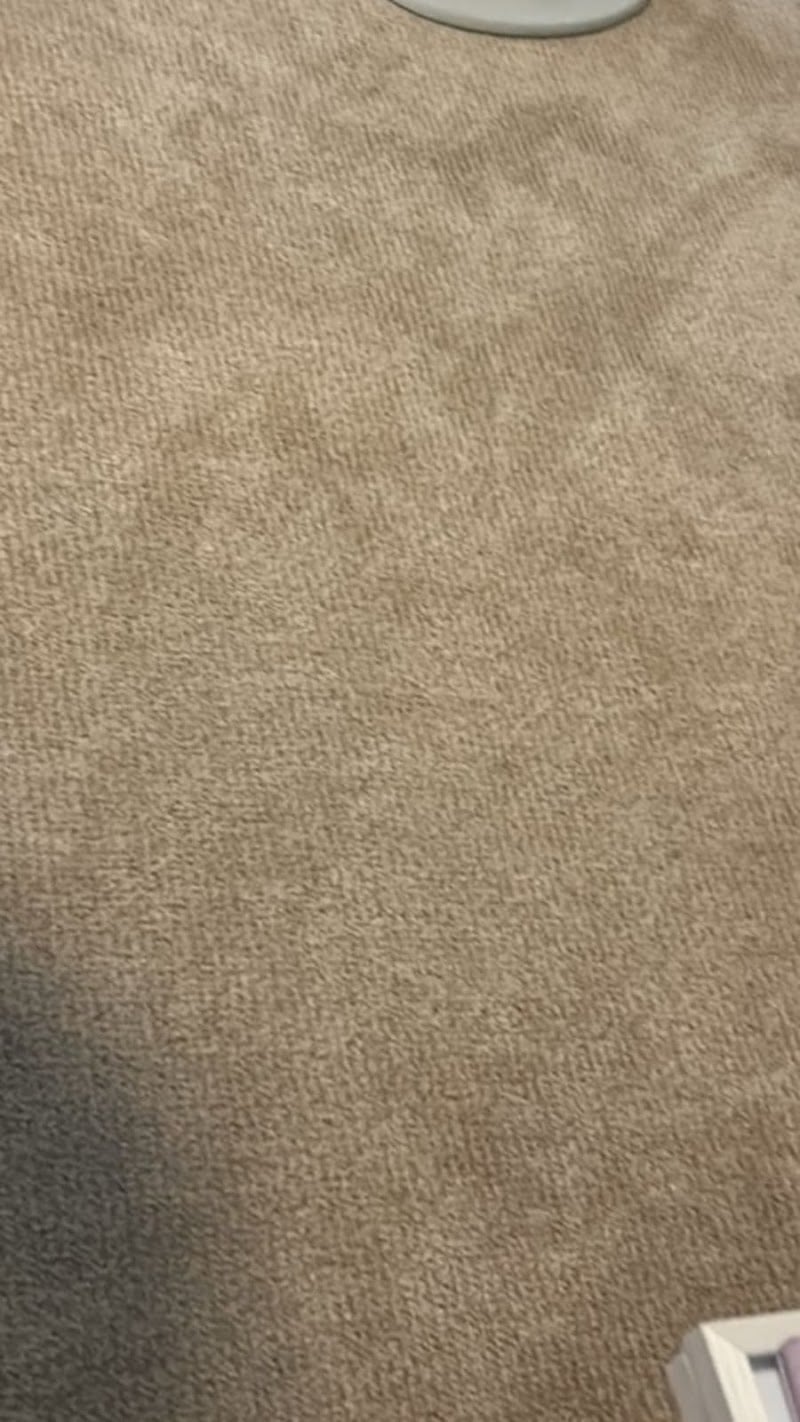 Trinity Carpet Care - Laundromat in FL 33770
