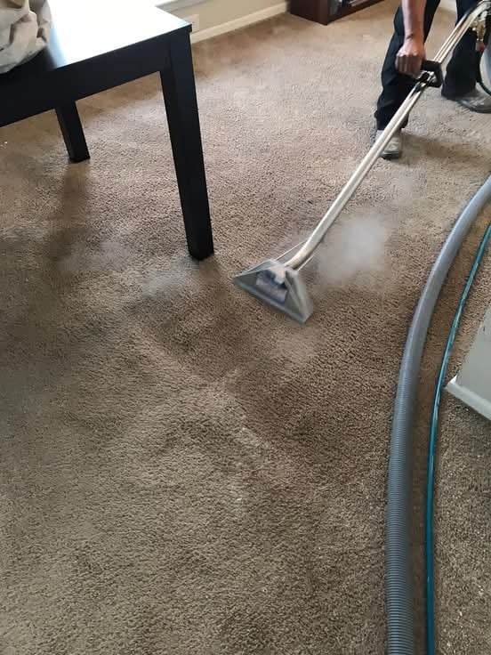 TX Webster Carpet Cleaning - Laundromat in Webster