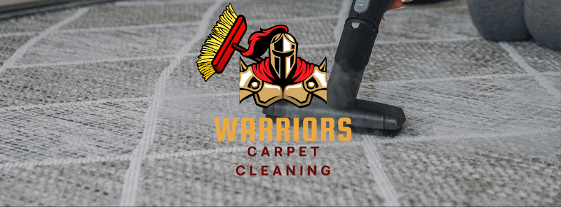 WARRIORS CARPET CLEANING - Laundromat in CA 94085