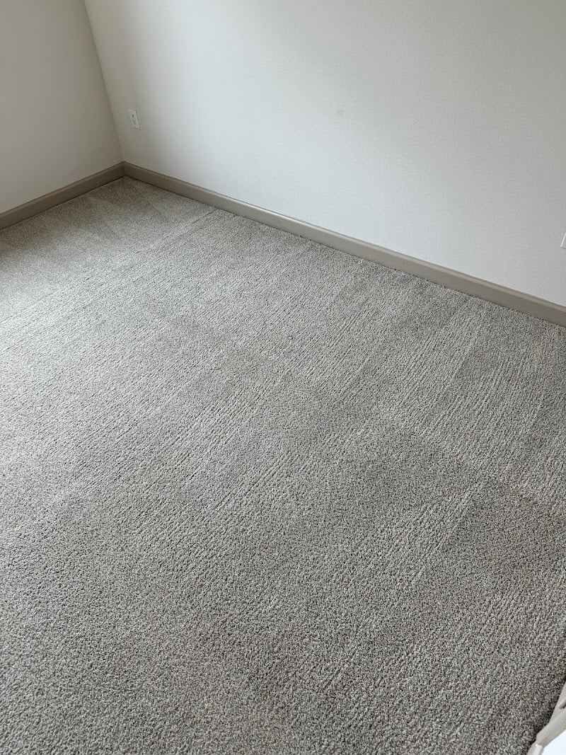 Wizards Carpet Cleaning Services Inc. - Laundromat in Katy