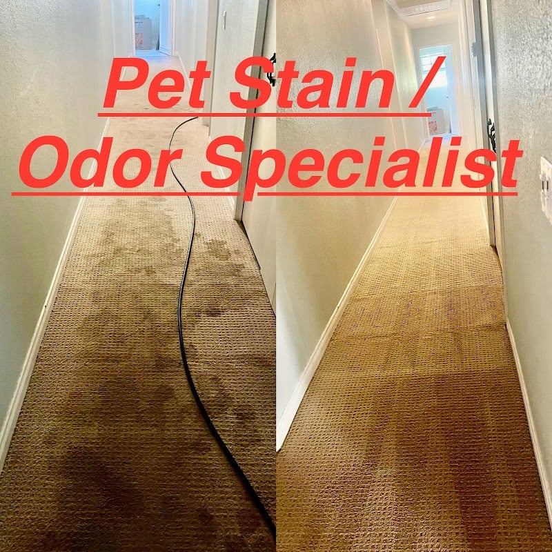 World Class Carpet Cleaning & Pet Stain / Odor Specialist - Laundromat in CA 91911