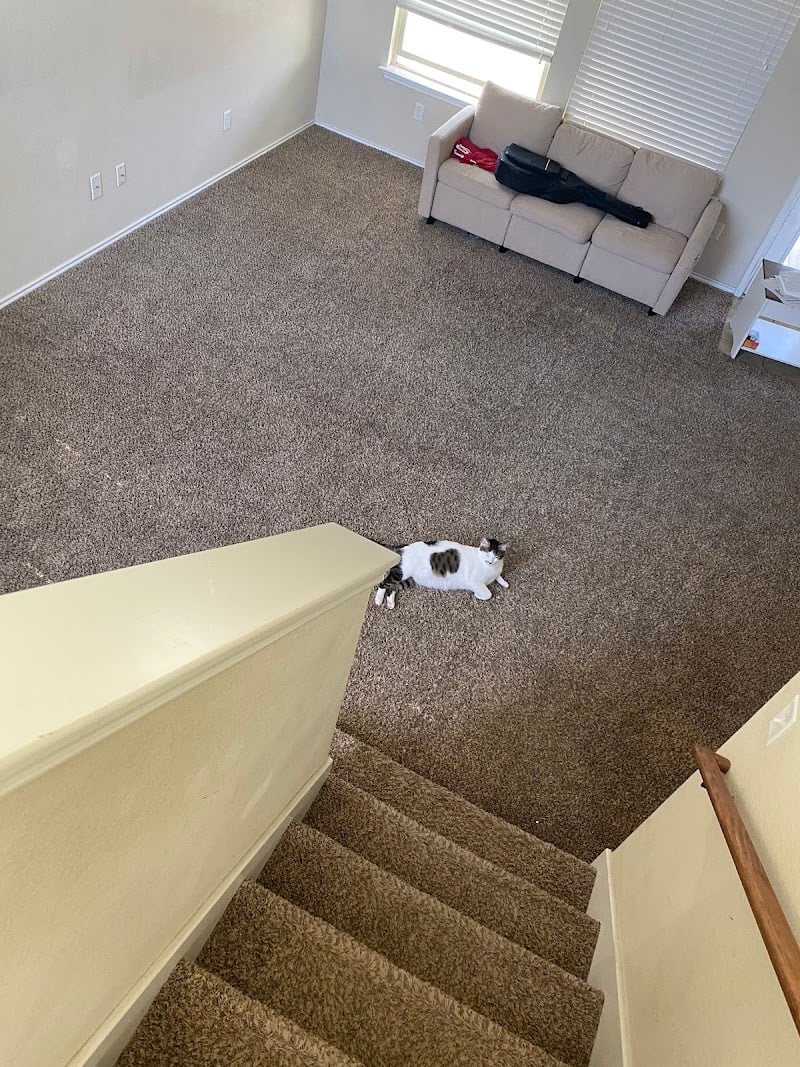 Zero-In Carpet Cleaning - Laundromat in Harker Heights