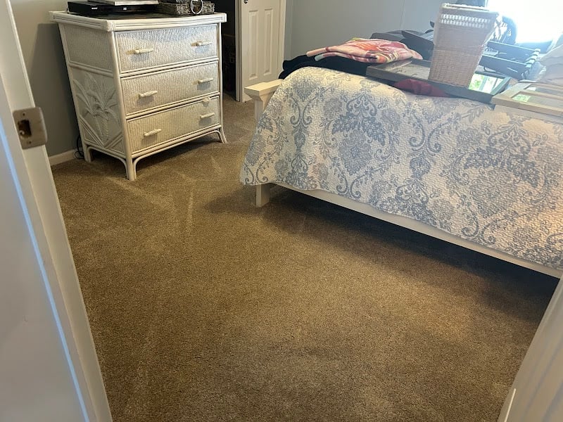 Zerorez Carpet Cleaning - Laundromat in FL 33610