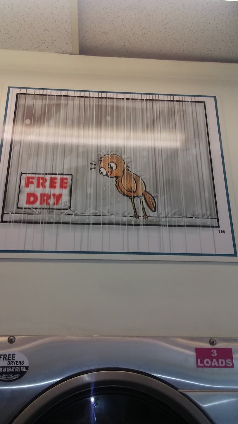 Dirty Bird Laundry - Laundromat in CA 93702