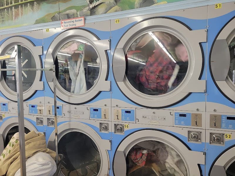 Wishy Washy Laundromat - Laundromat in CA 90043